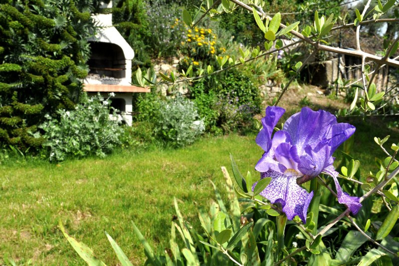 Area verde panoramica