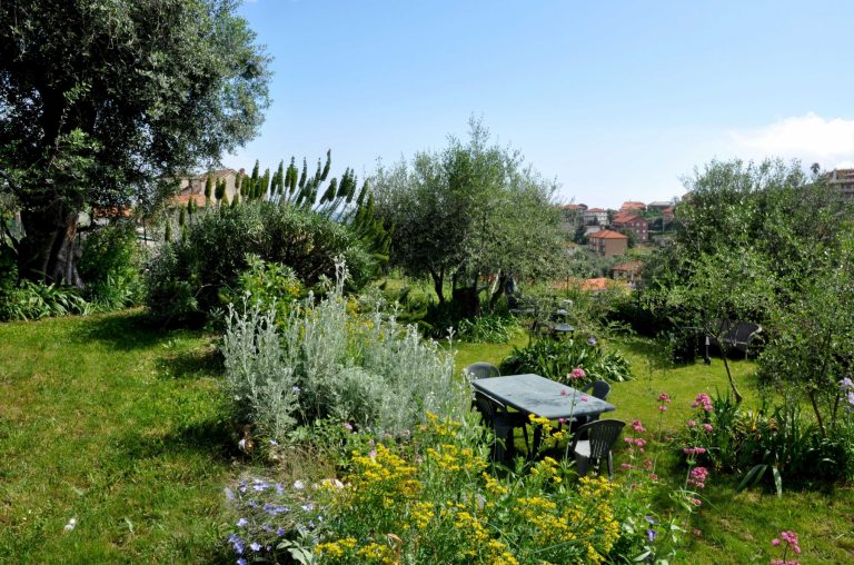 Area verde vista